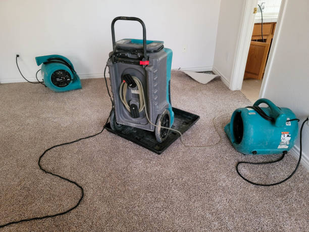 Best Water damage contractors near me  in Berkshire Lakes, FL