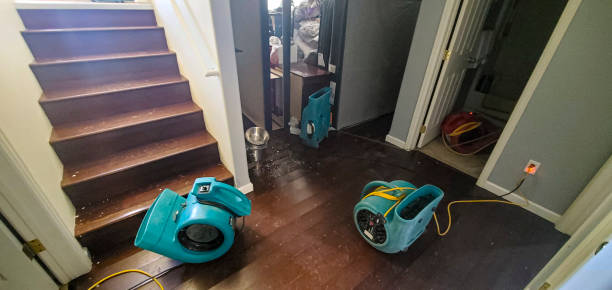 Best Flood damage cleanup  in Berkshire Lakes, FL