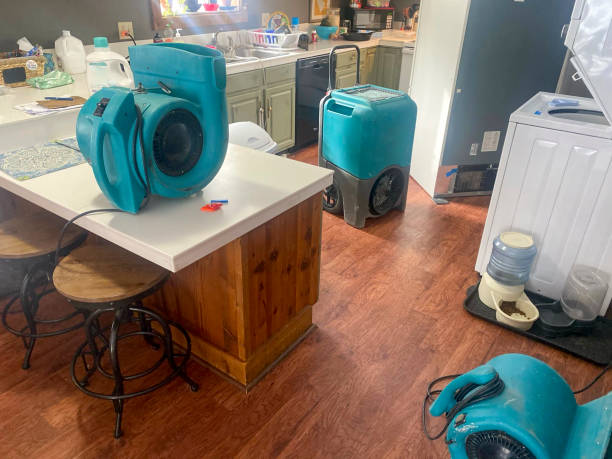 Best Water damage restoration insurance claims  in Berkshire Lakes, FL