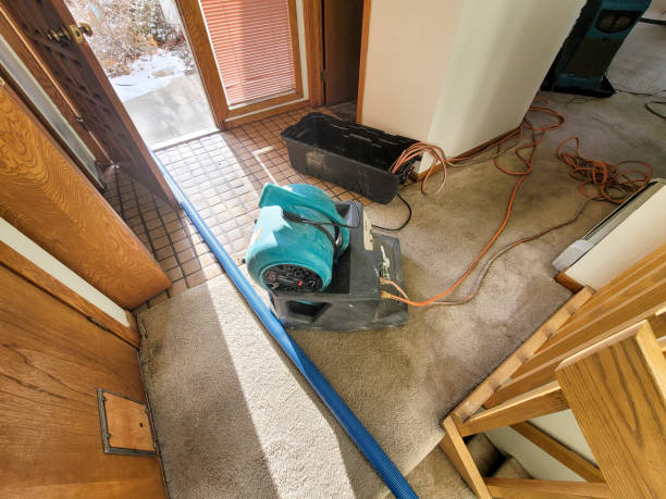 Berkshire Lakes, FL Water damage restoration Company