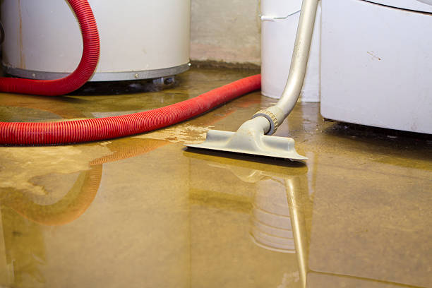 Best Residential water damage restoration  in Berkshire Lakes, FL