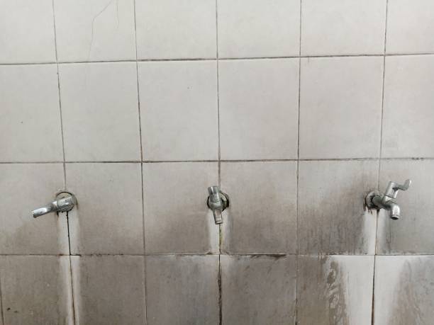 Best Water damage restoration near me  in Berkshire Lakes, FL