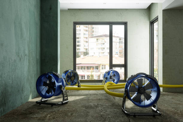 Best Water damage contractors near me  in Berkshire Lakes, FL