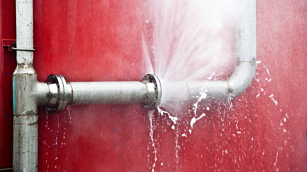 Best Water damage cleanup near me  in Berkshire Lakes, FL